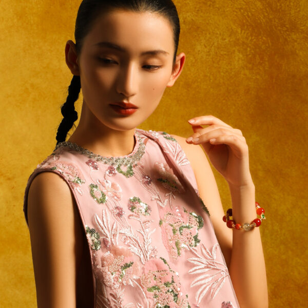 10002 Secret in the Nanhong Bracelet: God of Wealth and Lion Bring You Money